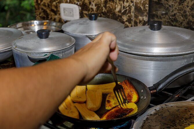Cooking Class in Manuel Antonio with Medicinal Plants Garden Visit - Who Would Love This Tour?