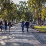 Coquimbo - La Serena City Tour for Cruises - What Makes This Tour Stand Out?