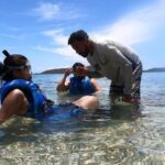 Coral Reef and Sea Turtle Snorkeling Experience - The Bottom Line