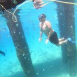 Coral Reef Snorkel Adventure with Photos and Videos - Why This Tour Offers Excellent Value