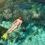 Coral Snorkeling Private Tour in Punta Cana with Seafood Lunch - Who Will Enjoy This Tour?