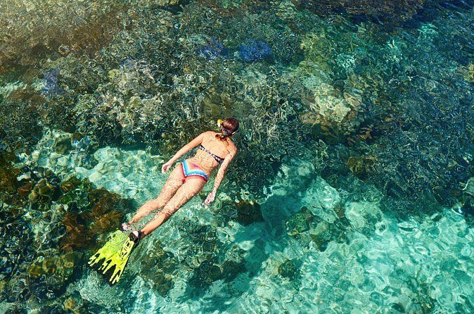 Coral Snorkeling Private Tour in Punta Cana with Seafood Lunch - Who Will Enjoy This Tour?