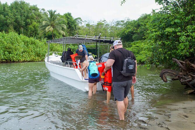 Corcovado National Park Land and Ocean Tour - From Jungle to Sea: Exploring Bahia Drake and Isla Violín
