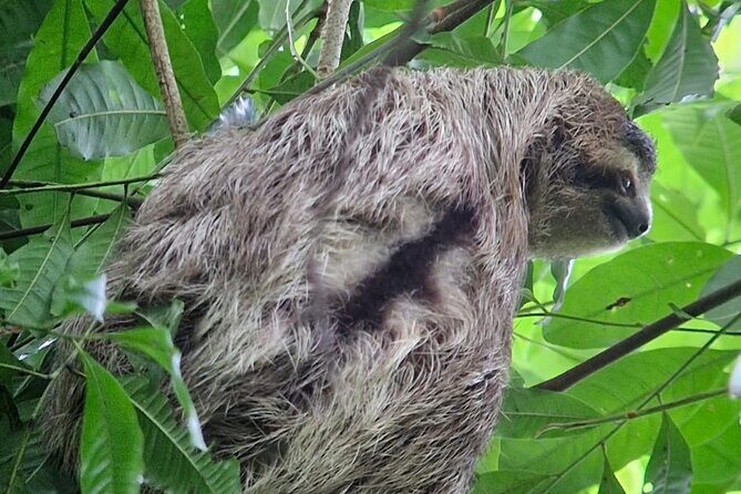 Corcovado National Park: Mermaid day tour From Puerto Jimenez - Detailed Review of the Mermaid Day Tour