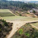 Córdoba: Wine Tour Privado a Calamuchita - Día completo - Final thoughts