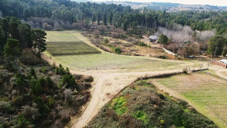 Córdoba: Wine Tour Privado a Calamuchita - Día completo - Final thoughts