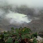 Costa Rica Day Trip Tour with Lunch - Practical Details and What to Expect