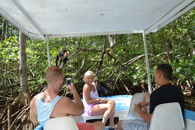 Costa Rica Mangrove Monkey Tour - A Deep Dive into the Costa Rica Mangrove Monkey Tour