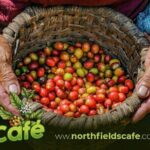 Costa Rican Coffee and Chocolate Crafting Experience: North Fields Cafe - The Value of the Tour