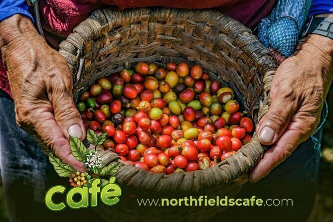 Costa Rican Coffee and Chocolate Crafting Experience: North Fields Cafe - The Value of the Tour