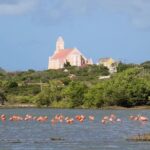 Costumizable East to West Island Tour Experience - FAQ