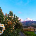Cotopaxi Full-Day from Quito Including Entrances - Considerations and Tips for Travelers