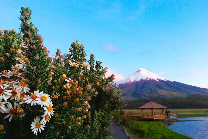 Cotopaxi Full-Day from Quito Including Entrances - Considerations and Tips for Travelers