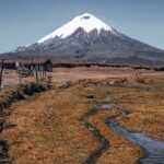 Cotopaxi tour from Quito -horseback ride and hike-NO TOURISTY way - Who Should Consider This Tour?