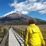 Cotopaxi Volcano full day tour with all the entrances, every day - A Thorough Look at the Cotopaxi Full-Day Experience