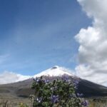 Cotopaxi Volcano (PRIVATE Day Trip from Quito) - A Closer Look at the Itinerary