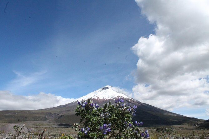 Cotopaxi Volcano (PRIVATE Day Trip from Quito) - A Closer Look at the Itinerary