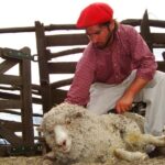 Country Afternoon with Dinner Show - Estancia 25 de Mayo - The Value of This Tour