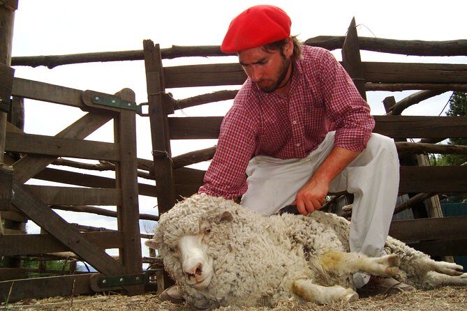 Country Afternoon with Dinner Show - Estancia 25 de Mayo - The Value of This Tour