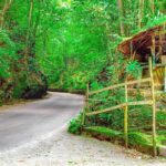 Country Side and Sight Seeing with Dunns River Falls - The Value of the Experience