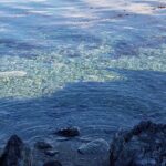 Crab Route through Tierra del Fuego from Ushuaia - Final Thoughts