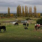 Criolla Horseback Riding - Price and Value: Is It Worth It?