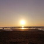 Crocodiles Safari & Zipline adventure - Private Sightseeing Tours - Final Thoughts