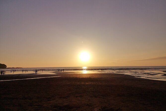 Crocodiles Safari & Zipline adventure - Private Sightseeing Tours - Final Thoughts