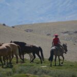 Crossing the Andes on Horseback in a 5-Day Tour - Exploring the Itinerary in Detail