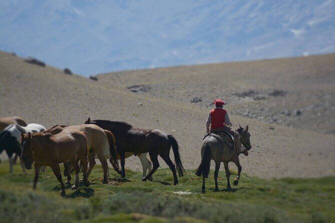 Crossing the Andes on Horseback in a 5-Day Tour - Exploring the Itinerary in Detail