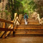 Crossing to Puerto Blest and Cascada de los Cántaros - What’s Included and What’s Not?