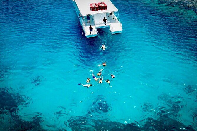 Crucero de Fiesta y Snorkel en Punta Cana - Who Is This Tour Best For?