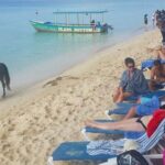 Cruise Ship Excursion in Montego Bay - Who Will Love This Tour?