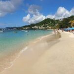 Cruise Ship Round Transfer to Grand Anse Beach in Grenada - Transportation, Timing, and Group Size