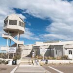 Cruise Shore Excursion Peninsula Valdes - Box Lunch Included - In-depth look at the Peninsula Valdes tour