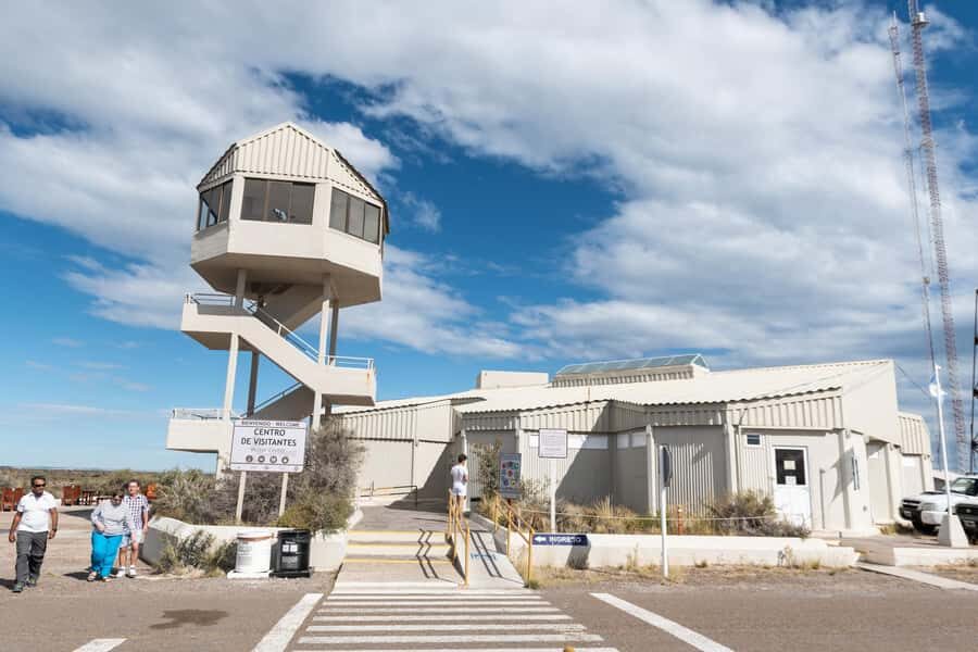 Cruise Shore Excursion Peninsula Valdes - Box Lunch Included - In-depth look at the Peninsula Valdes tour