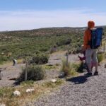 Cruise Shore Excursion Punta Tombo - From Puerto Madryn Patagonia - Why This Tour Stands Out