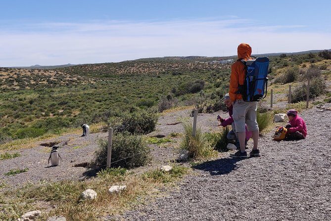 Cruise Shore Excursion Punta Tombo - From Puerto Madryn Patagonia - Why This Tour Stands Out