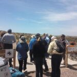Cruise Shore Excursion Punta Tombo Tour - Puerto Madryn - Patagonia - Argentina - The Experience of the Penguins and Their Habitat