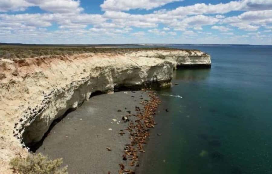 Cruise Shore Punta Loma and city overview - Why This Tour Is Worth It