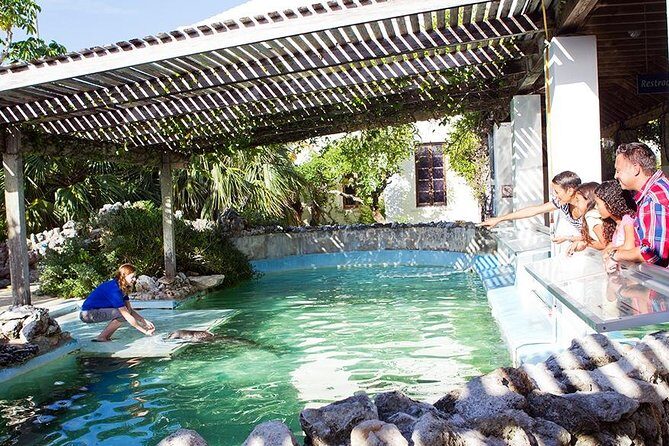 Crystal Caves, Aquarium, City of Hamilton and Ferry - An In-Depth Look at the Tour Experience