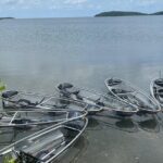 Crystal Kayak & Snorkel Eco Tour (with transfer) - Who Would Love This Tour?