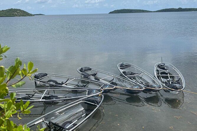 Crystal Kayak & Snorkel Eco Tour (with transfer) - Who Would Love This Tour?