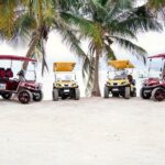 C&S (4 Seater) Golf Cart Rentals - The Sum Up: Who Will Love This?
