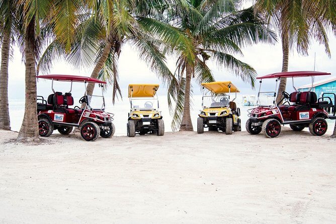 C&S (4 Seater) Golf Cart Rentals - The Sum Up: Who Will Love This?