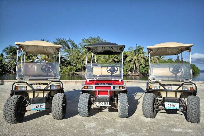 C&S 6 Seater Golf Cart Rental - Authentic Experiences and Real Traveler Feedback