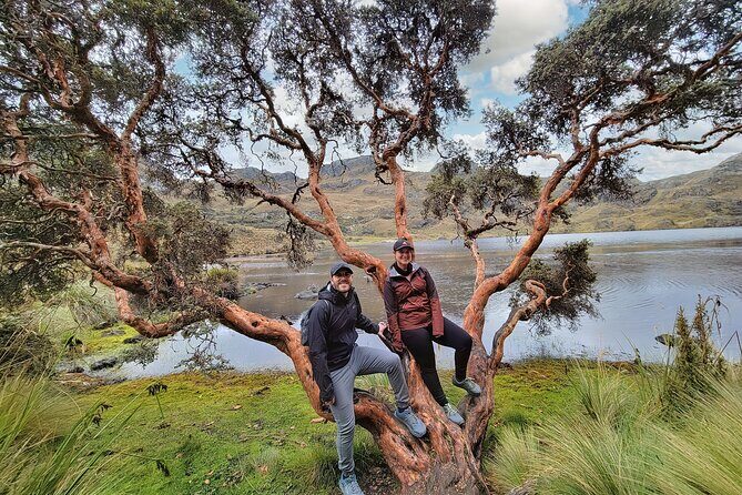 Cuenca to Guayaquil one-way tour with Cajas Park and a Cacao Farm visit - Who Will Love This Tour?