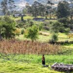 Cuenca to Vilcabamba shuttle - Who Should Consider This Shuttle?