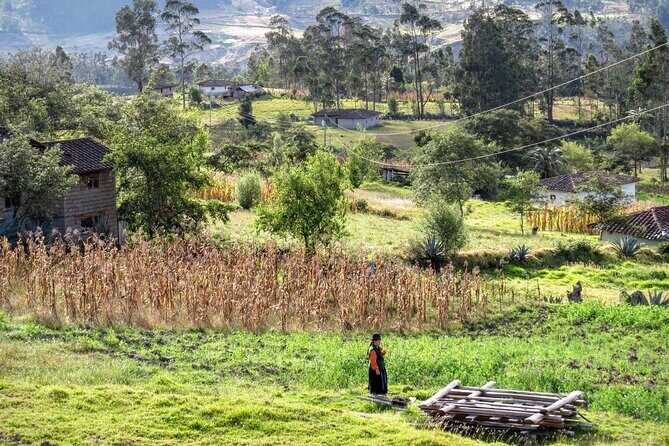 Cuenca to Vilcabamba shuttle - Who Should Consider This Shuttle?