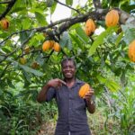 Cultural City Tour Higüey and Punta Cana - Final Thoughts: Is This the Tour for You?